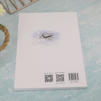 印刷电路板设计与制作——基于Altium Designer 微课版