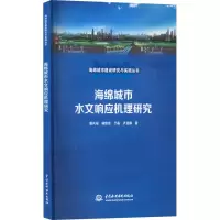 海绵城市水文响应机理研究