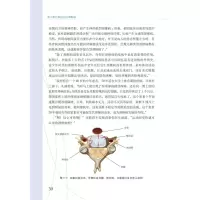 B[正版] 张立教您如何治好颈椎病 医患情景式对话故事书 张立 编著 颈椎 脊椎病诊疗康复 患者指导 978756592