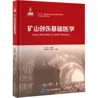 矿山创伤基础医学(国家出版基金项目)