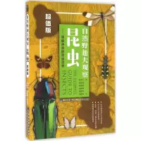 [正版]自然野趣大观察全4册 野菇+蕨类+昆虫+野菇 6-15岁中小学生课外书读物野外观察行动指南儿童绘本动物百科自然