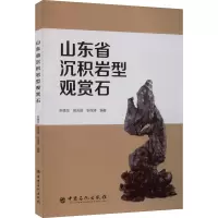 山东省沉积岩型观赏石