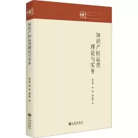 知识产权运营理论与实务