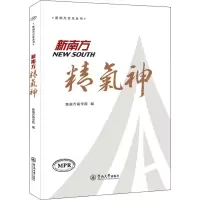 新南方精气神(新南方文化丛书)