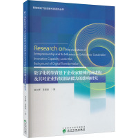 数字化转型背景下企业家精神内涵建构及其对企业持续创新能力的影响研究