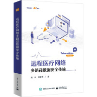 远程医疗网络多路径数据安全传输