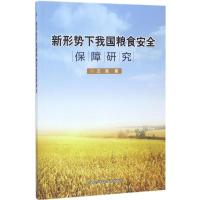 新形势下我国粮食安全保障研究