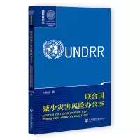 联合国减少灾害风险办公室/国际组织志