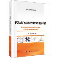 钙钛矿结构铁性功能材料