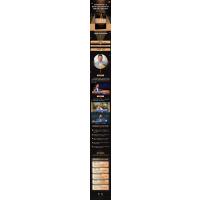 奇多奇迹:从清洁工到卓越管理者的传奇人生