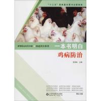 [正版]现代实用养猪技术大全+猪病诊治一本通 高效实用养猪技术书仔猪幼猪母猪养殖技术教程书籍大全兽医猪病学科学养猪图解