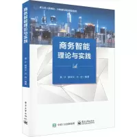 商务智能理论与实践