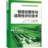 管道完整性与适用性评价技术