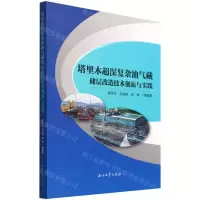 [N]塔里木超深复杂油气藏储层改造技术创新与实践-9787518352067