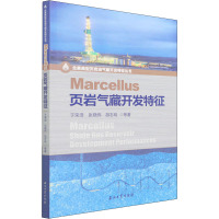 Marcellus页岩气藏开发特征