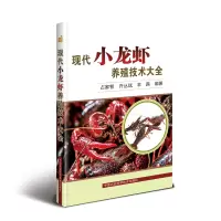 [友一个]养虾技术书全四4册南美白对虾养殖技术+南美白对虾高效养殖与疾病防治技术 南美白对虾高效健康养殖百问百答 病害