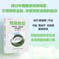 低碳转型:绿色经济、转型金融与中国未来