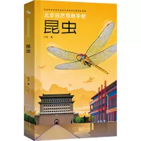 全10册套装 [友一个]北京自然观察手册全10册矿物和岩石鸟类野花云和天气有故事的自然万物之书身边博物野外探秘花鸟鱼虫系