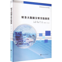 财务大数据分析实验教程
