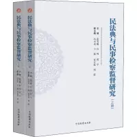 民法典与民事检察监督研究(全2册)