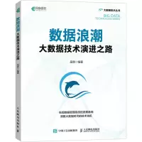 数据浪潮(大数据技术演进之路)/大数据技术丛书