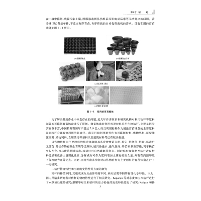 生物质钵育秧盘成型技术及移栽装置研究