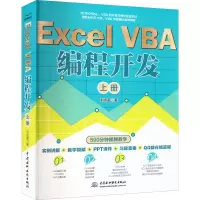 Excel VBA 编程开发(上册)