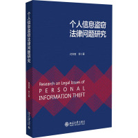 个人信息盗窃法律问题研究