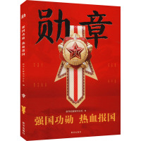 勋章 强国功勋 热血报国