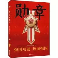 勋章 强国功勋 热血报国