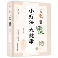 [N]中医图解版小疗法大健康-9787571913502