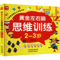 左右脑思维训练2-3岁 [粉象优品]儿童思维逻辑训练书2-3岁图书 全脑开发书三岁宝宝数学逻辑书本两岁幼儿益智游戏书籍连
