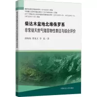 柴达木盆地北缘侏罗系非常规天然气储层物性表征与综合评价
