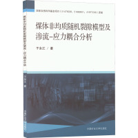 煤体非均质随机裂隙模型及渗流-应力耦合分析