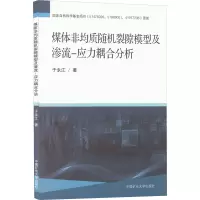 煤体非均质随机裂隙模型及渗流-应力耦合分析
