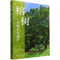 榕树古树名木保护