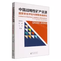 [N]中国战略性矿产资源国家安全评估与预警系统研究(2020-2050)-9787521836417