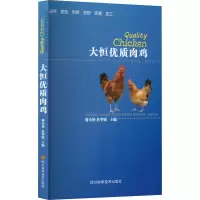 大恒优质肉鸡