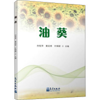油葵