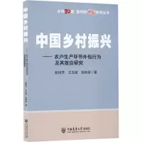 中国乡村振兴——农户生产环节外包行为及其效应研究