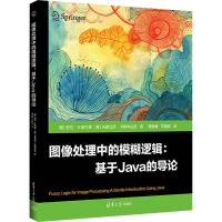 图像处理中的模糊逻辑:基于Java的导论
