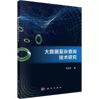 大数据复杂查询技术研究