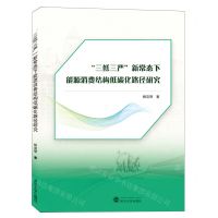 [N]三低三严新常态下能源消费结构低碳化路径研究-9787307230873
