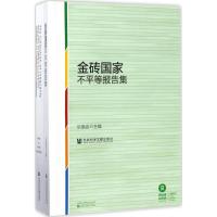 金砖国家不平等报告集