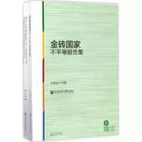 金砖国家不平等报告集