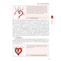 脑血管变异DSA图谱及临床实例解析(精)