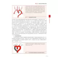 脑血管变异DSA图谱及临床实例解析(精)