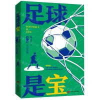 [N]足球是宝(第2部真心英雄)-9787517142997