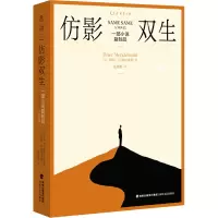 仿影双生:一部小说复制品