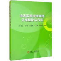 地表覆盖神经网络分类理论与方法